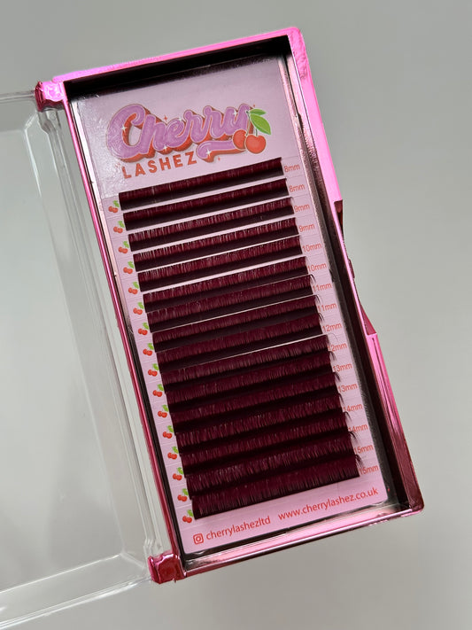 Burgandy Lash Trays